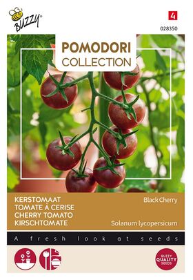 Pomodori Kers-Tomaten Black Cherry