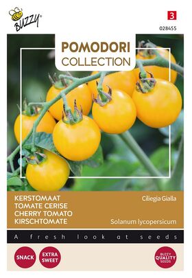 Pomodori kirschtomate Ciliegia Gialla