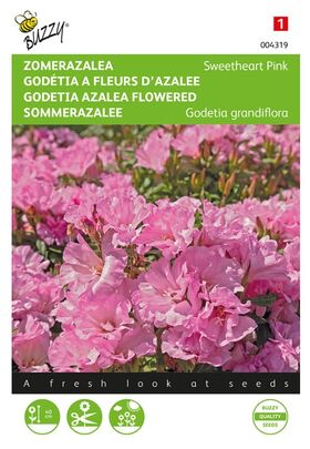 Sommerazalee Samen 'Sweet Heart Pink'