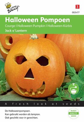 Helloween Kürbis Samen