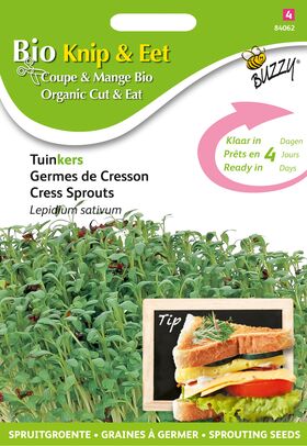 Saatgut Bio Keimsprossen Gartenkresse