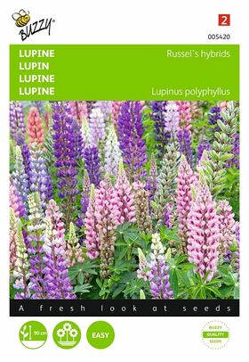 Lupin Blumensaatgutmischung