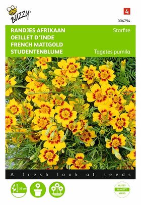 Starfire Studentenblume Blumensamen