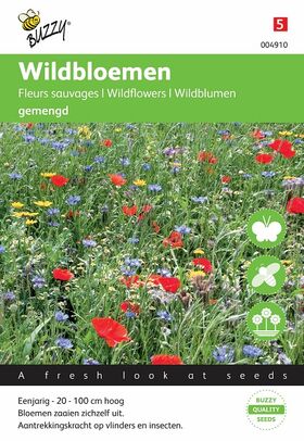 Wildblumen Mischung samen