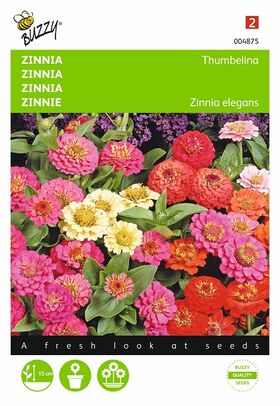 Zinnie Blumensamen