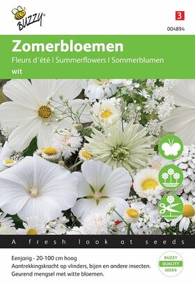 Sommerblumen samen Weiss