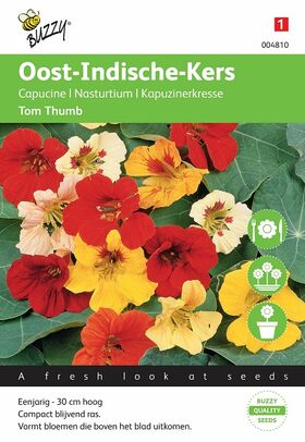 Kapuzinerkresse blumensamen