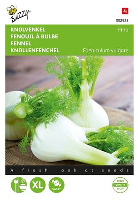 Knollenfenchel Fino