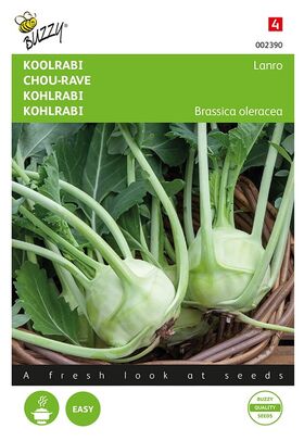 Kohlrabi Lanro, Weiß