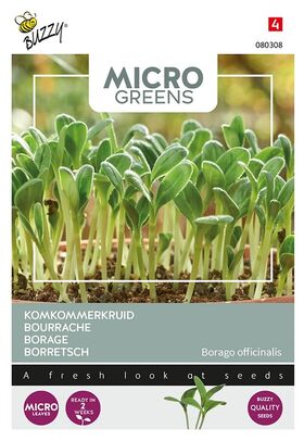 Microgreens Borretsch