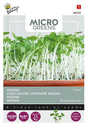 Microgreens Mizuna Grun