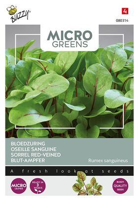 Microgreens Blut-Ampfer