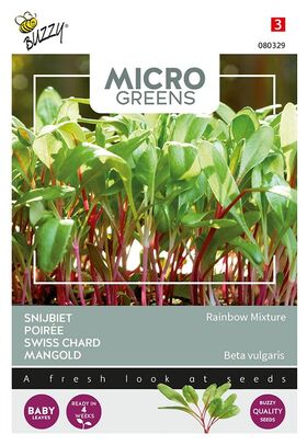 Microgreens Mangold Regenbogen Mischung