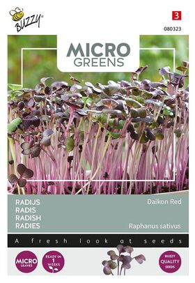 Microgreens Radies Daikon Rot