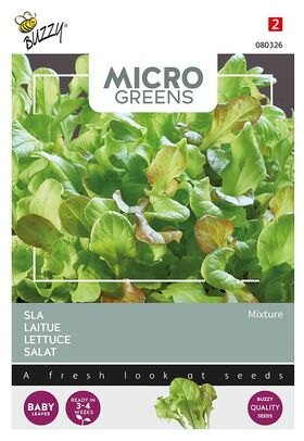 Microgreens Salat Mischung