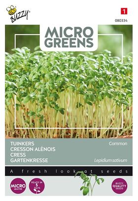 Microgreens  Einfache Gartenkresse