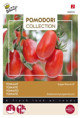 Pomodori Tomate Super Roma VF