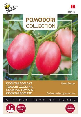 Pomodori Tomate Uovo Roseo