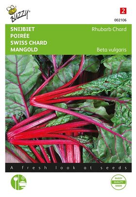 Mangold Rhubarb Chard