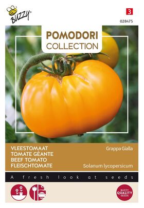 Pomodori Fleischtomate Grappa Gialla