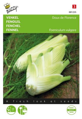 Fennel