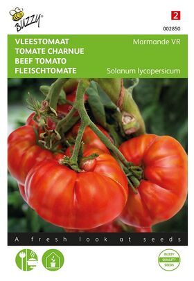 Fleischtomate Marmande