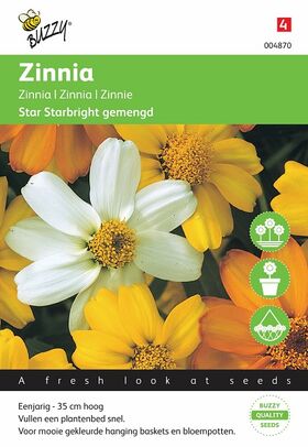 Zinnie Blumensamen Starbright