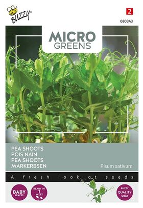 Microgreens Markerbsen