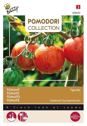 Pomodori Tomate Tigerella