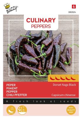 Pfeffer Samen 'Dorset Naga Black'