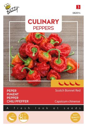 Chili Pfeffer Samen 'Scotch Bonnet Red'