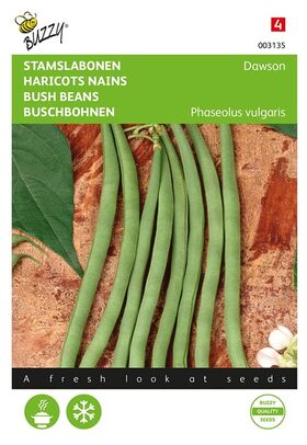 Buschbohnen 'Dawson' Buschbohnen 'Dawson'