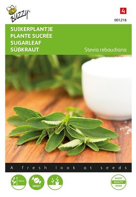 Stevia Rebaundiana / Süßkraut