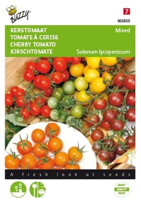 Kirschtomaten Gemischt