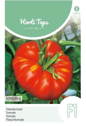 Tomate Maestro F1 hybride