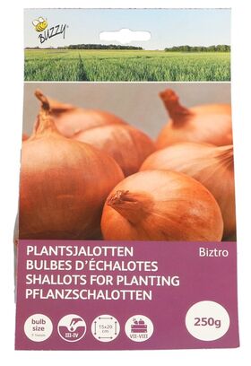 Plantsjalotten Biztro met capper 250gr