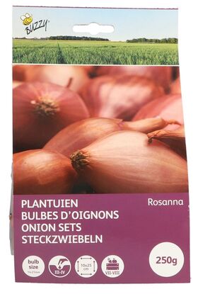 Plantuien Geel met Capper Rosanna 250gr.