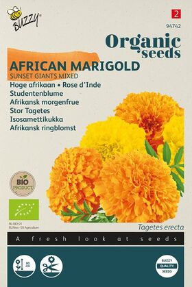 Bio-saatgut Studentenblume 'Sunset Giants Mix'