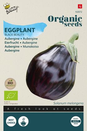 Bio-Samen Aubergine Black Beauty