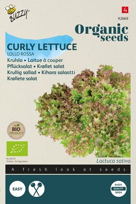 Bio Pflücksalat Lollo rossa