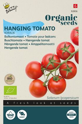 Bio Balkon Tomatensamen ‘Koralik‘ hängend