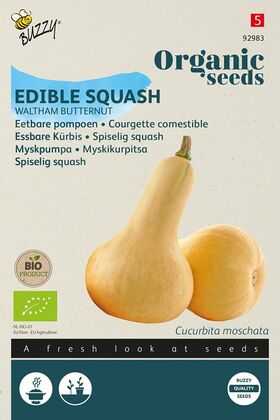 BIO Essbare Speisekürbissamen Waltham Butternut