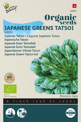 Bio Japanischer Tatsoi