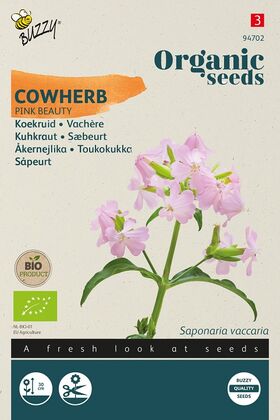Bio-Saatgut Kuhkraut 'Pink Beauty'