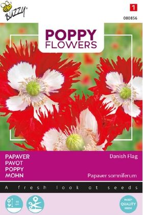 Mohn Dänische Flahne