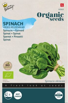 Bio-Saatgut Spinat 'Früh-Riesenblatt'