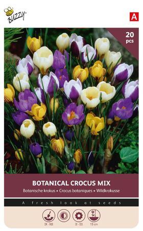 Crocus Bloembollen Botanical Mix
