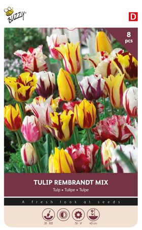 Tulpen Bloembollen Rembrandt gemengd