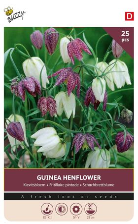 Kievitsbloem Meleagris